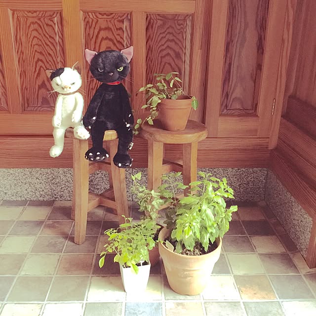 mamyuさんの実例写真