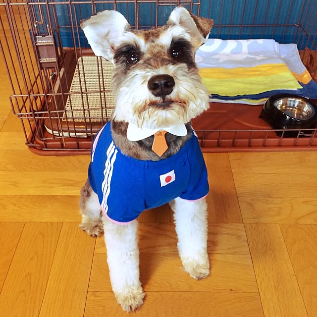 Youkiさんの実例写真