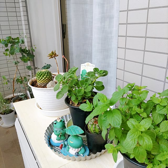 hiromiさんの実例写真