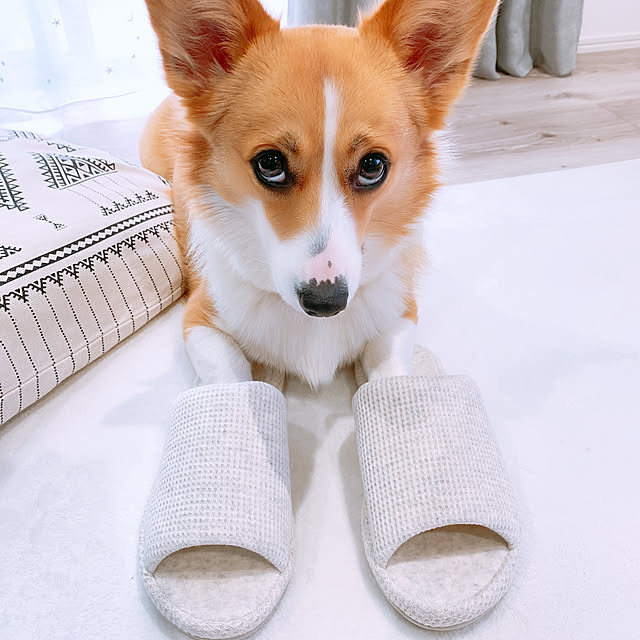 3ayuさんの実例写真