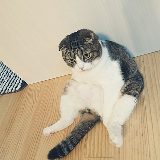 Akariさんの実例写真