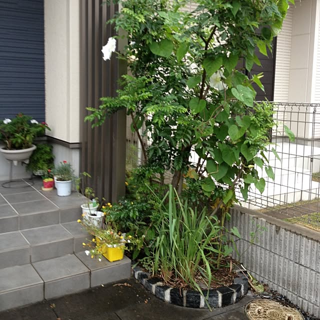 実例写真