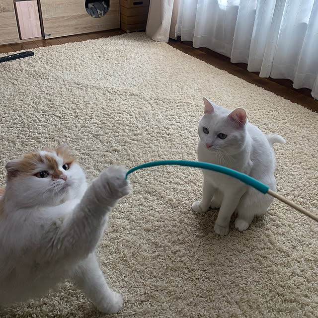 keiさんの実例写真