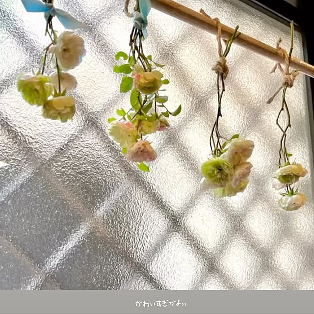 ハンドメイド/ドライフラワー/100均/玄関/入り口のインテリア実例 - 2022-06-30 09:01:47