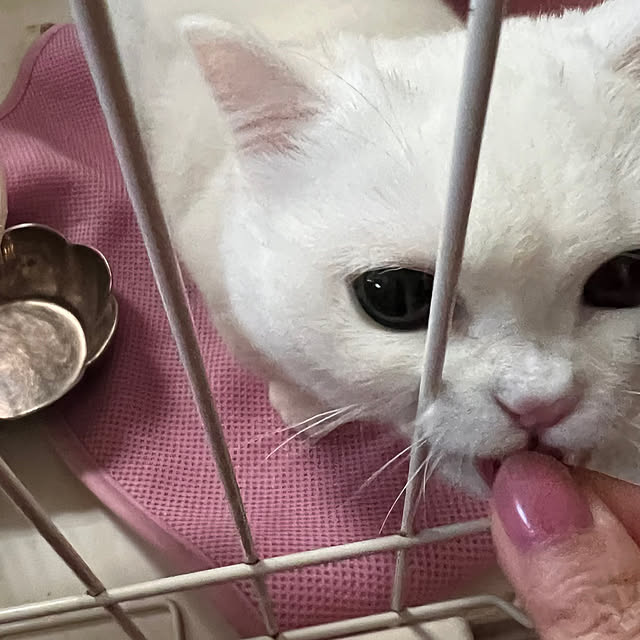 AYUKOさんの部屋