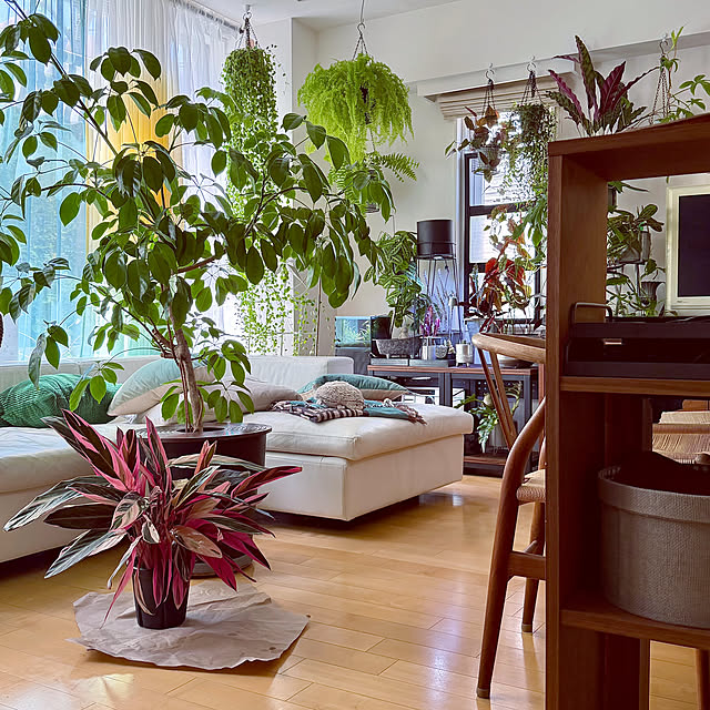 DAYONEさんの実例写真