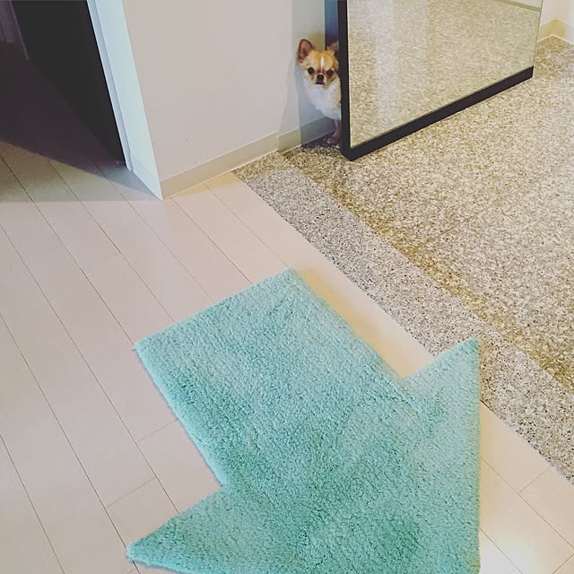 haruhinaさんの実例写真