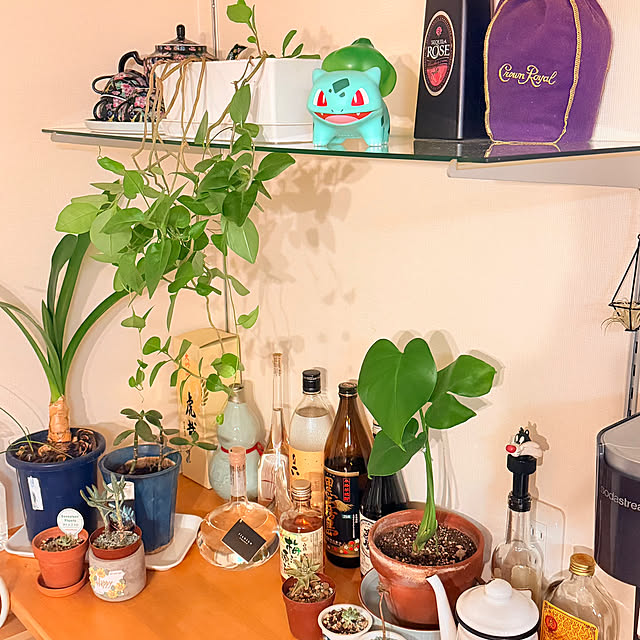 Carryさんの実例写真