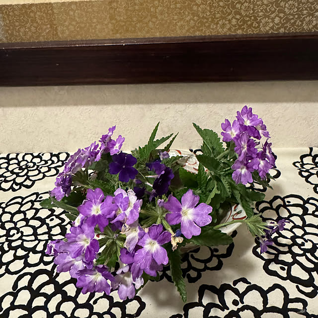 mamizaさんの実例写真