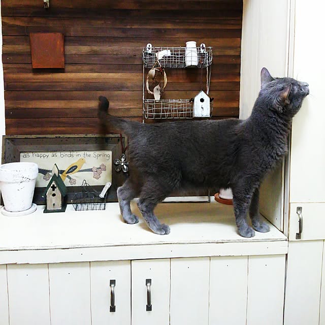 tomo1220さんの実例写真