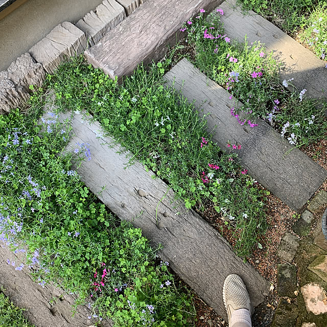 tabasaさんの実例写真