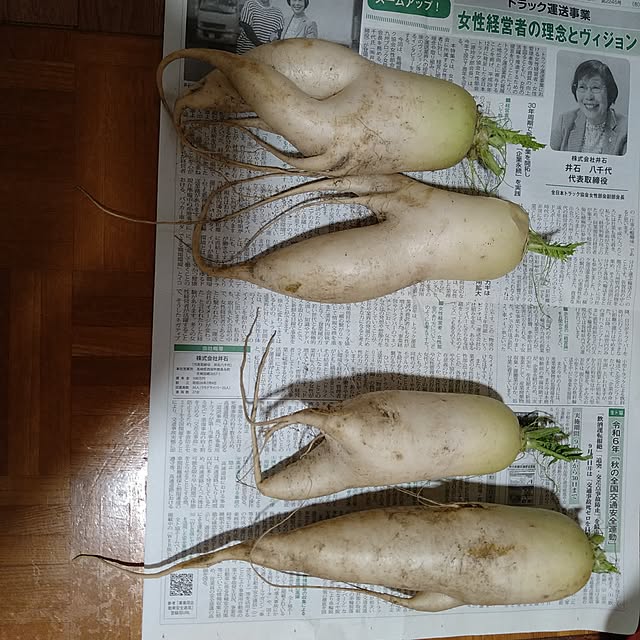 ameamekaasanさんの部屋
