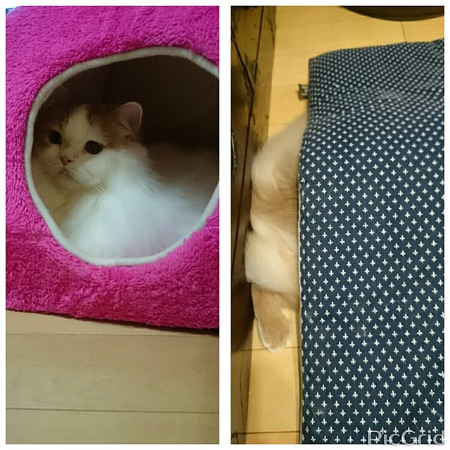 1ldksさんの実例写真