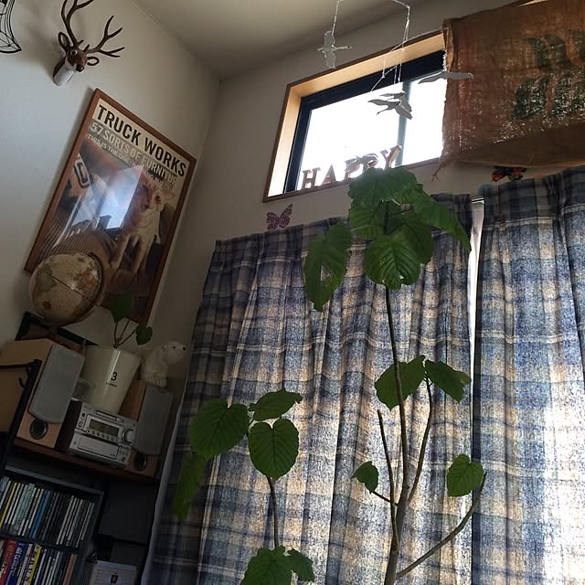 chiekoさんの実例写真