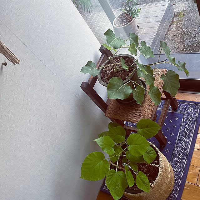 marucoさんの部屋