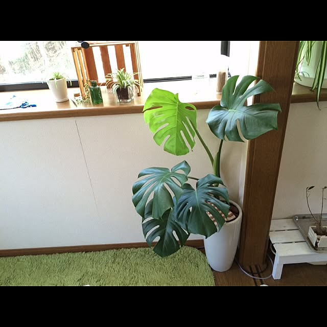 L.さんの実例写真
