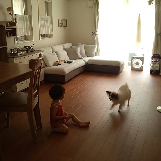 kokkomachaさんの実例写真