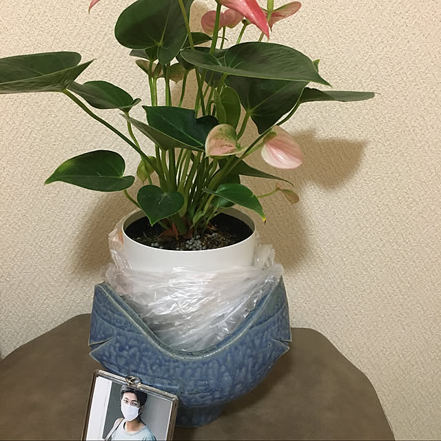 cotatuさんの実例写真