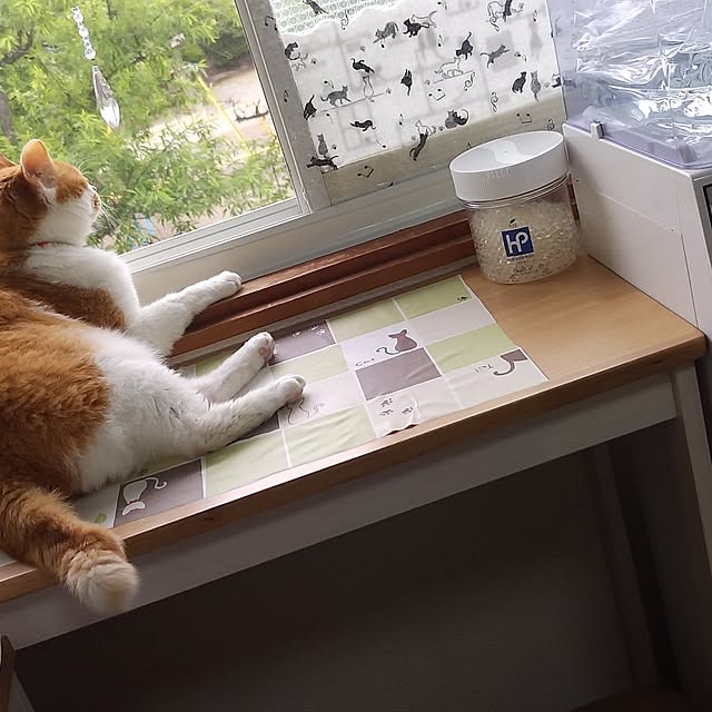 yumiさんの実例写真