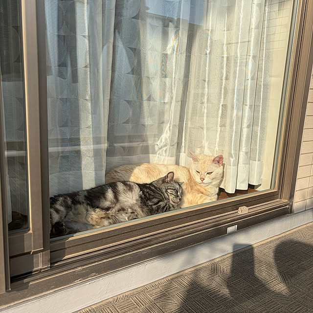 hiyupan88さんの部屋