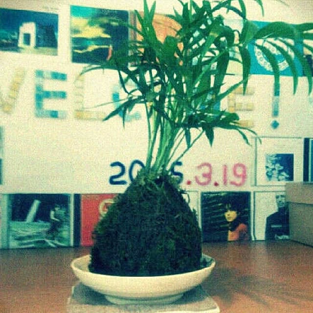 hanaさんの実例写真