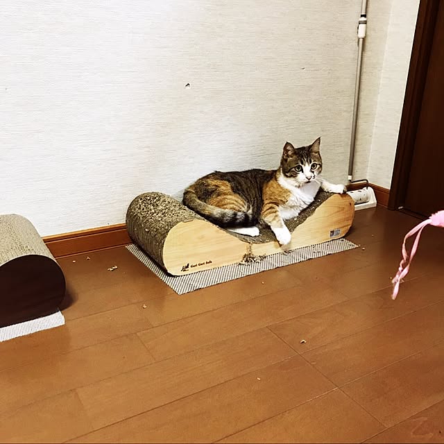 nitonさんの実例写真