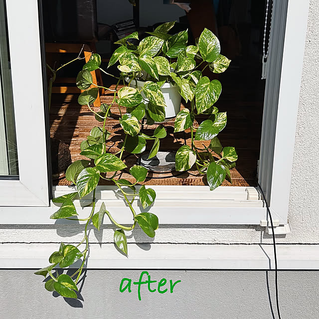 hanahana1444さんの実例写真