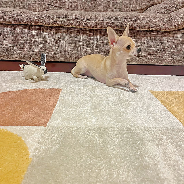 star..さんの部屋