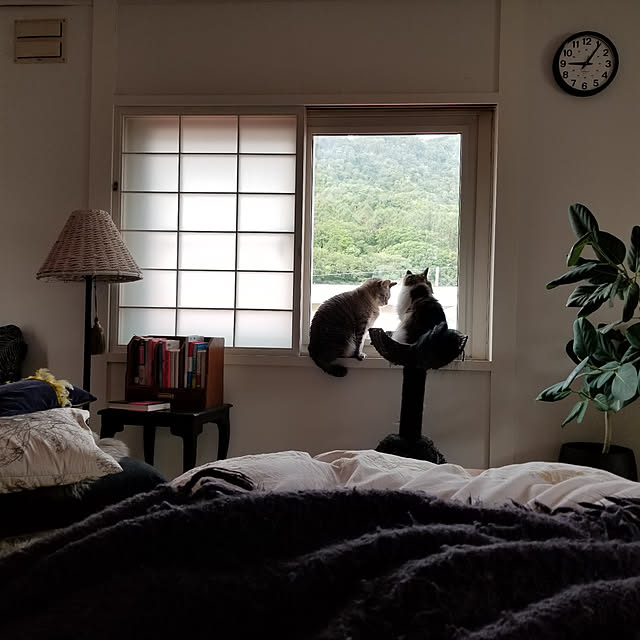 neoさんの実例写真