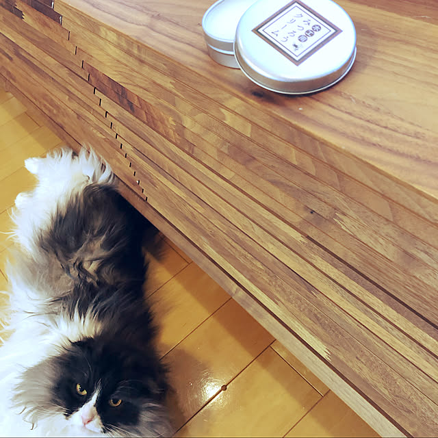 Tomさんの実例写真