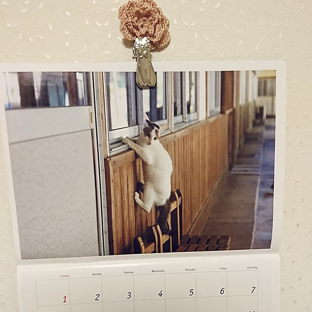 maoshinさんの実例写真