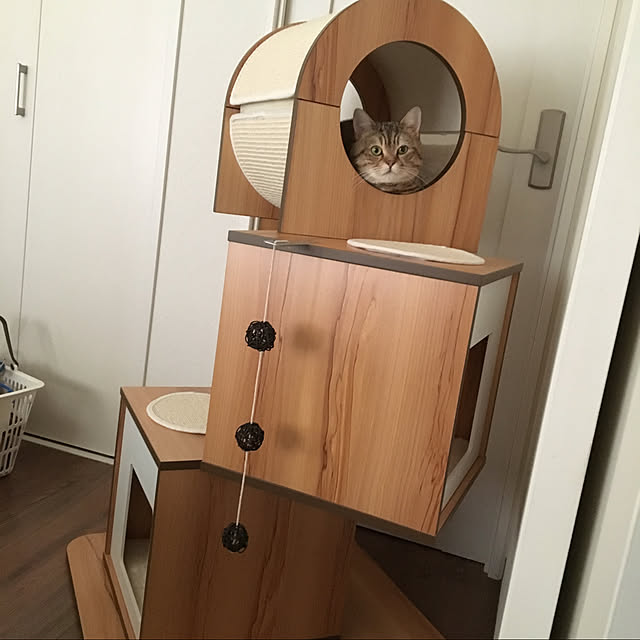 nyannさんの実例写真