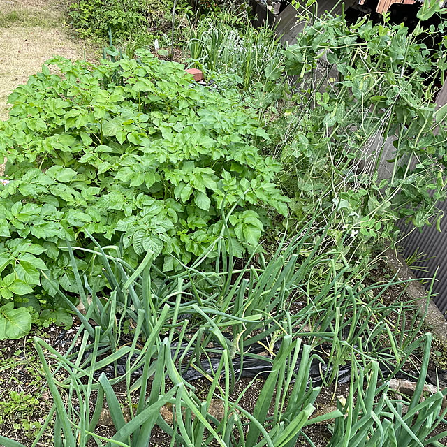 natsumiさんの部屋