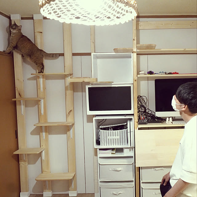 catpapaさんの実例写真