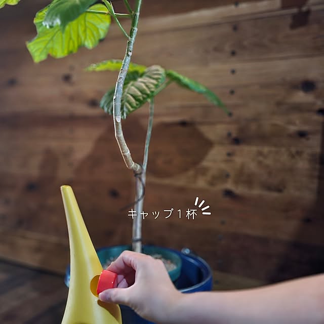 CYNOSさんの部屋