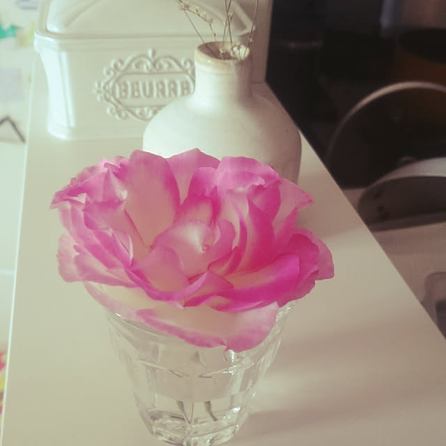 kuremaさんの実例写真