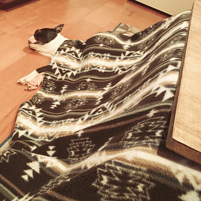 55lifeさんの実例写真