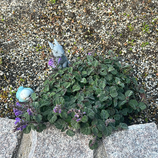 banbinaさんの部屋