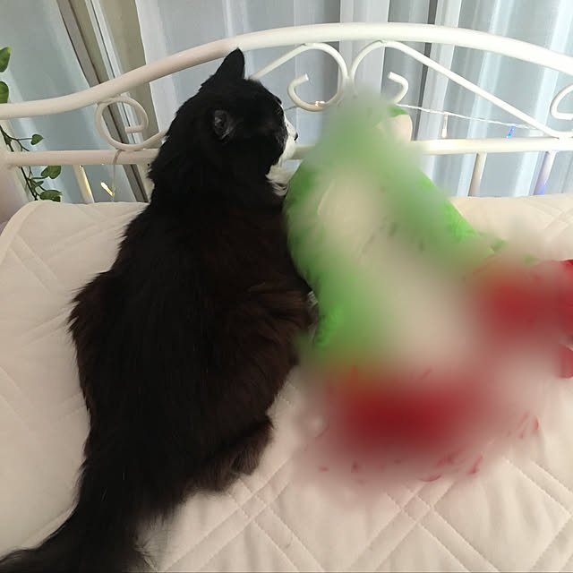 kanaさんの実例写真