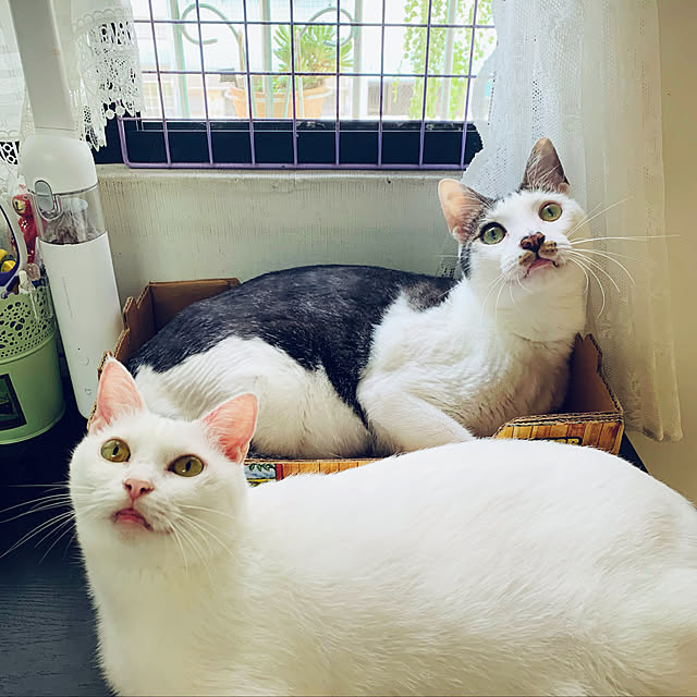 pcu110さんの実例写真