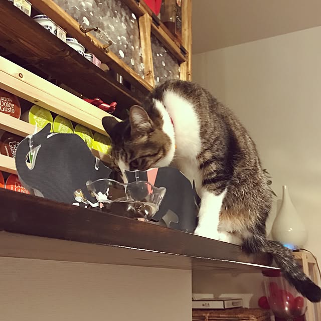 miruさんの実例写真