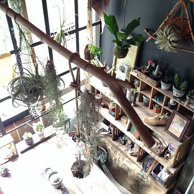 edenさんの実例写真