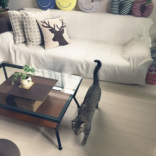 kirinさんの実例写真