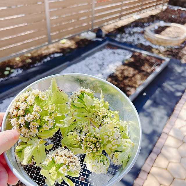 chanduさんの実例写真