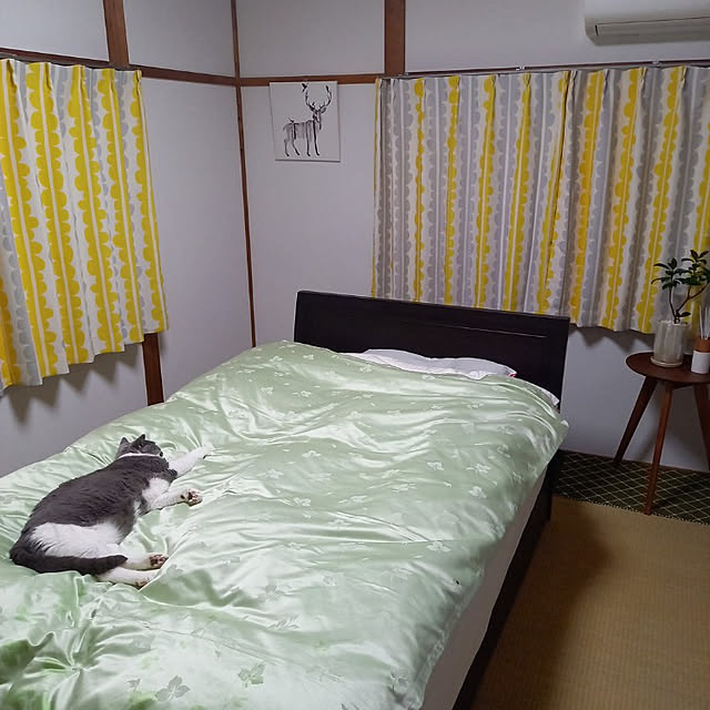 rhuさんの実例写真