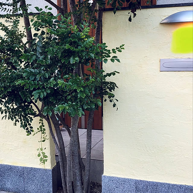 tsujihiroさんの実例写真