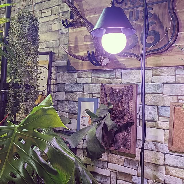 GINさんの部屋