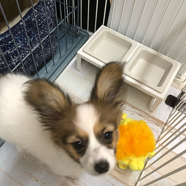 coco518さんの実例写真