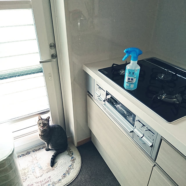 aisuさんの実例写真