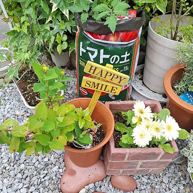 Blancheさんの部屋